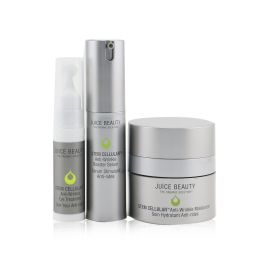 Anti-Wrinkle Solutions Set: 1xStem Cellular Anti-Wrinkle Moisturizer - 15ml/0.5oz + 1xStem Cellular Anti-Wrinkle Booster Serum - 15ml/0.5oz + 1xStem C
